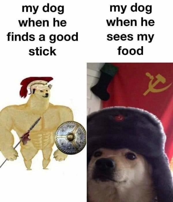 My Dog - meme