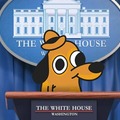 The White House new press secretary