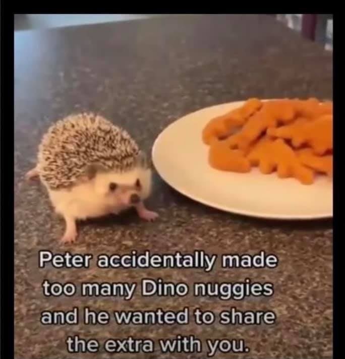 nuggies - meme