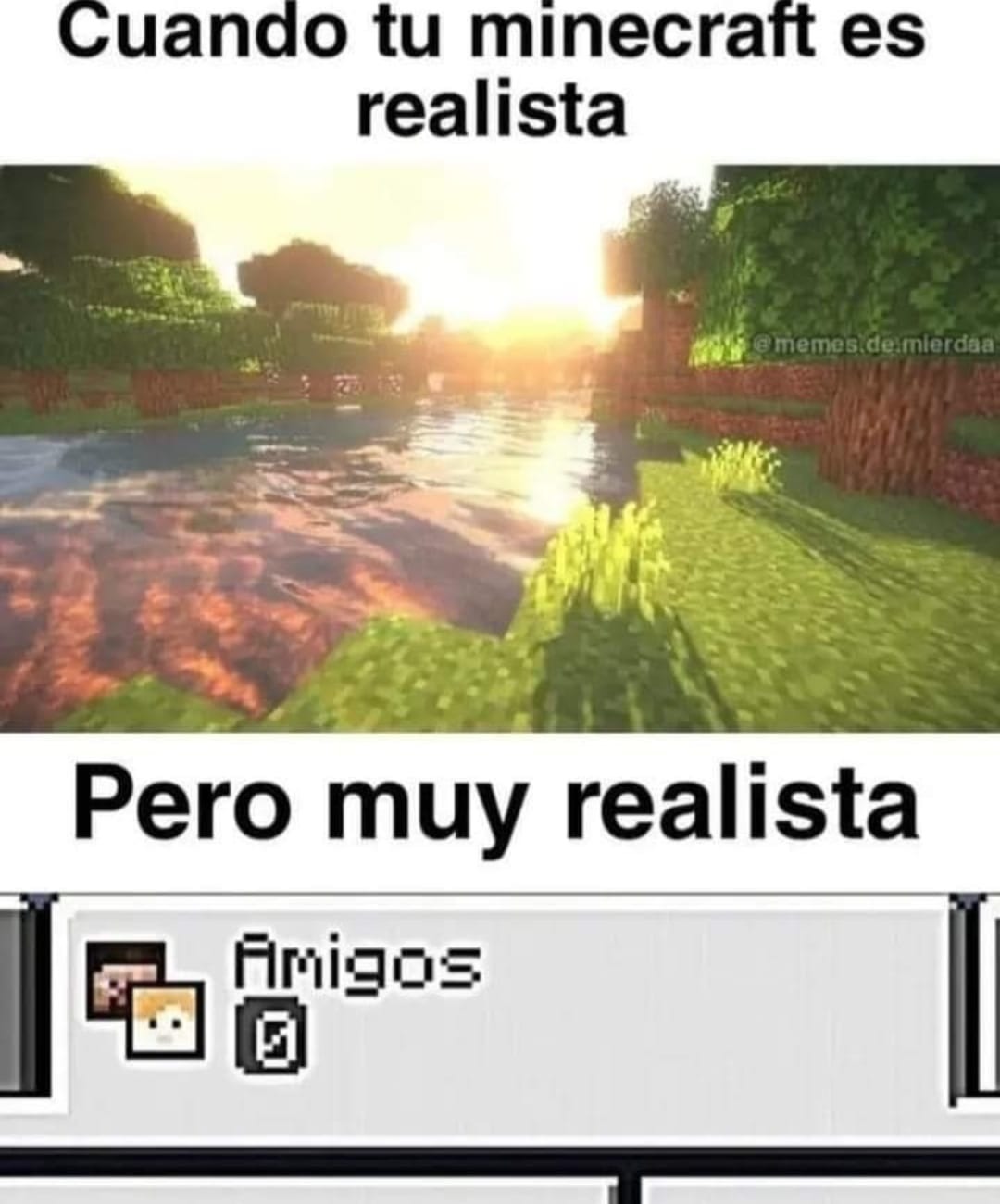 Minecraft realista - meme