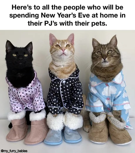 New Years Eve 2024 meme