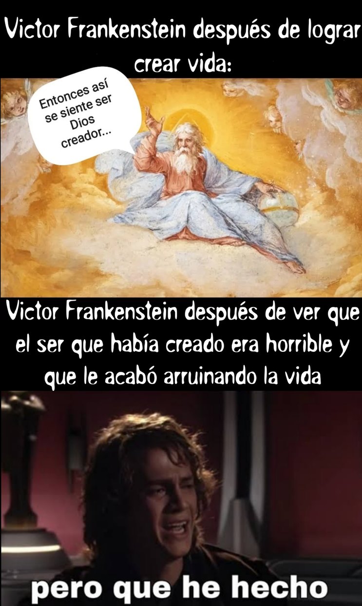 Meme literario