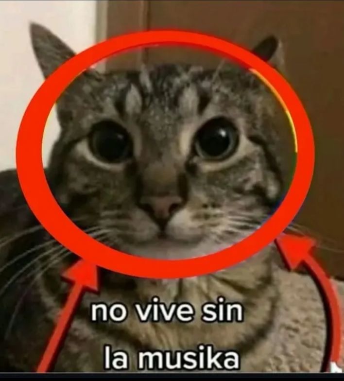 Baiters vendrán a llorar - meme