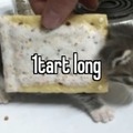 commented item thumbnail