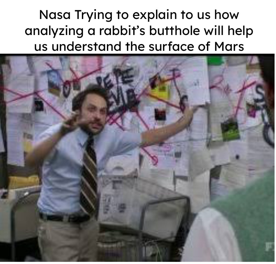 Dongs in NASA - meme