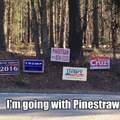 Pinestraw for pres