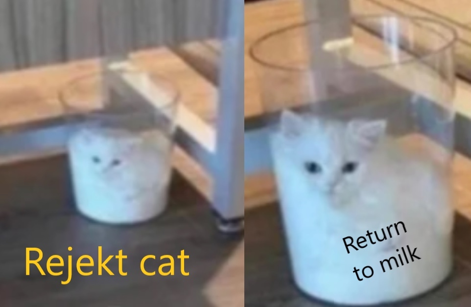 cat milk - meme