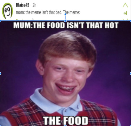 The food 101 - meme