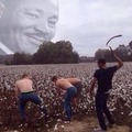 MLK dream according to BLM
