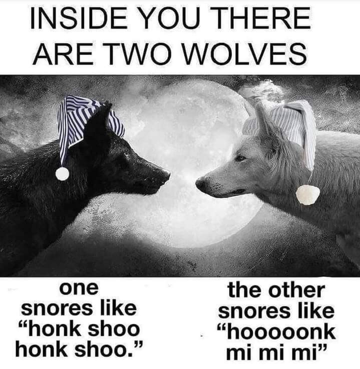Honkchoo - meme