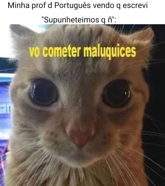 Minha prof d Português vendo q escrevi "Supunheteimos q ñ": - meme