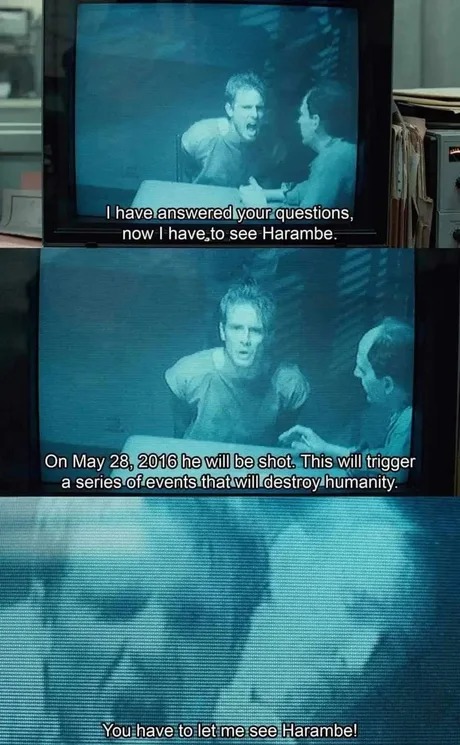 We remember - meme