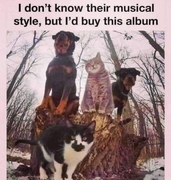 No clue what genre this is, but I’m buying the vinyl - meme