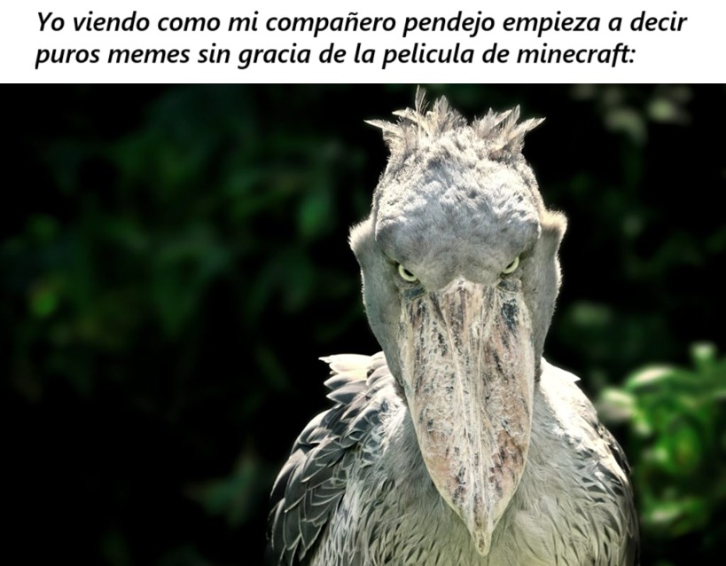aunque en mi opinion minecraft no es buen juego, la pelicula estuvo algo interesante, pero sus meme son basura sin gracia alguna