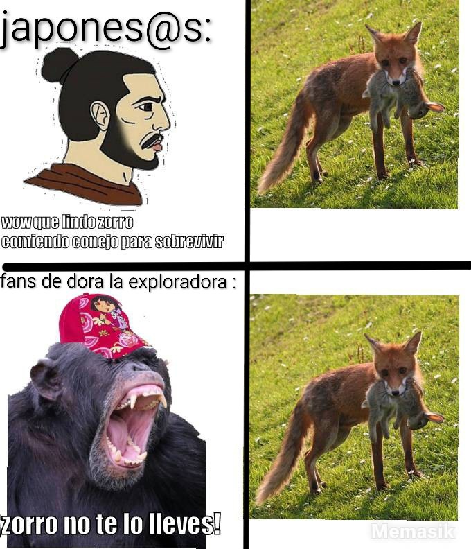 Memes Sobre Zorros Photo By Los Memes Del Linyera (@memesdellinyera)