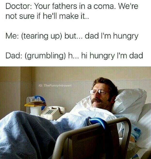 Fucking dad jokes - meme