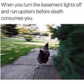 running cock