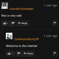 Odd is porn's name