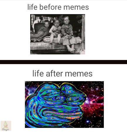 is there life after memes???