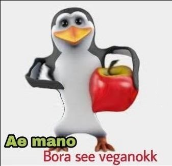 Bora see veganokk - meme