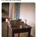 Cat's birthday