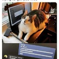 commented item thumbnail