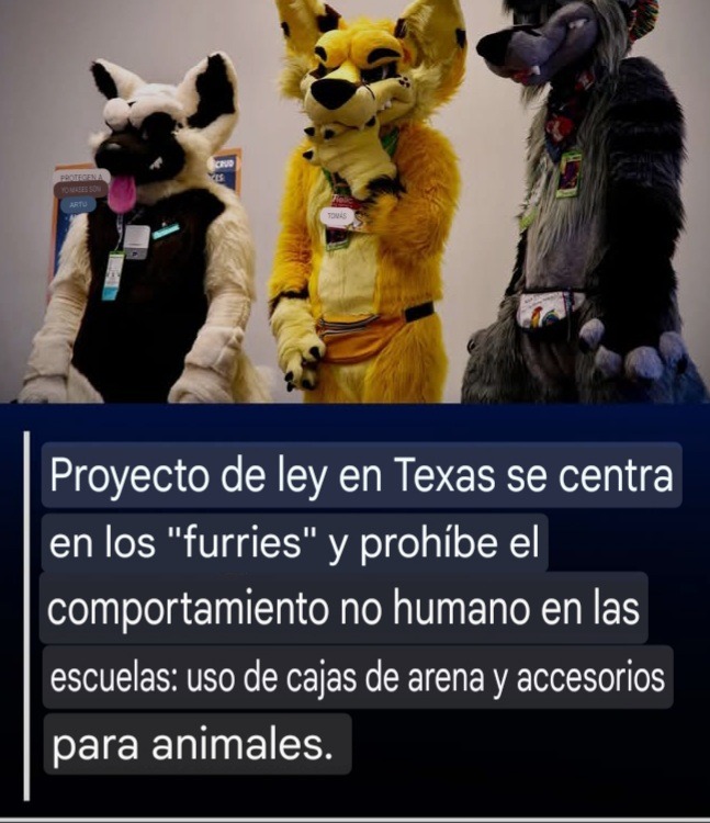 Hasta que por fin, hacen bien las cosas, en EE.UU. :granny: - meme