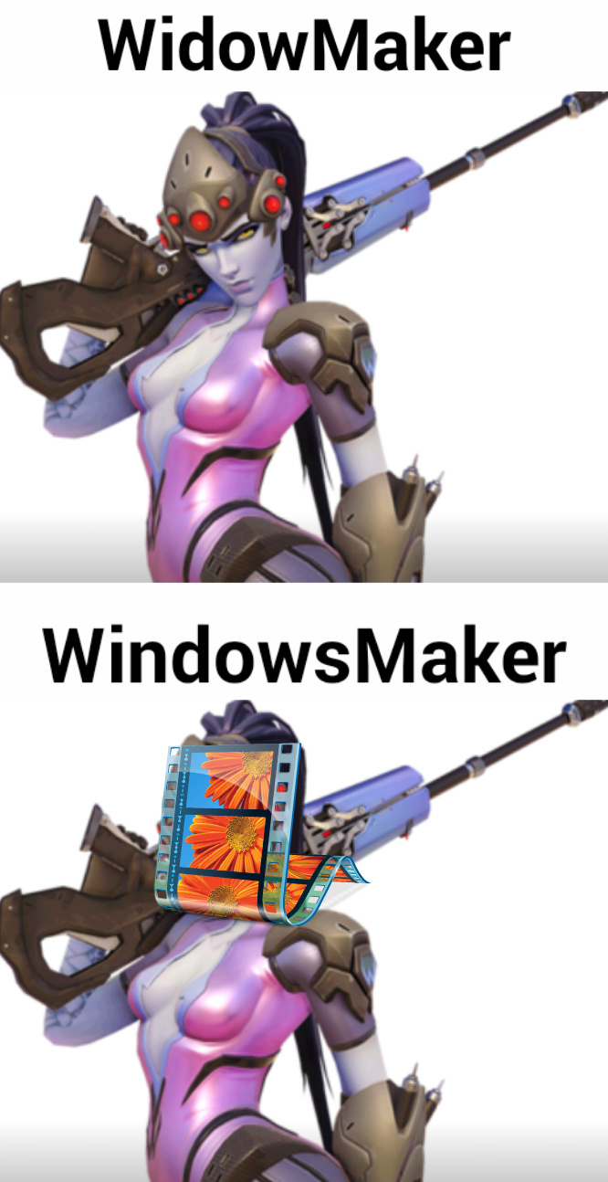 WindowsMaker 10/10 - meme