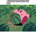 I want a girl who can suck like Kirby