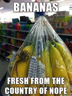 Banana spiders... =( - meme