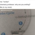 Succ that Krebs cycle