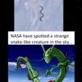 Rayquaza detected