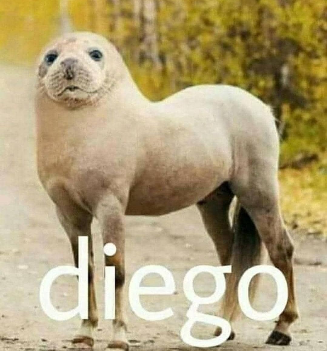 Diego - meme