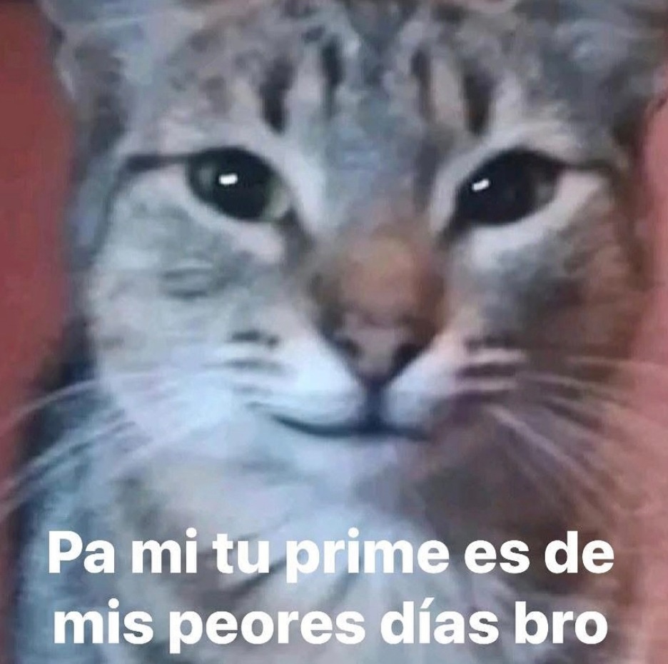 Para mí tu prime es de mis peores días bro - meme