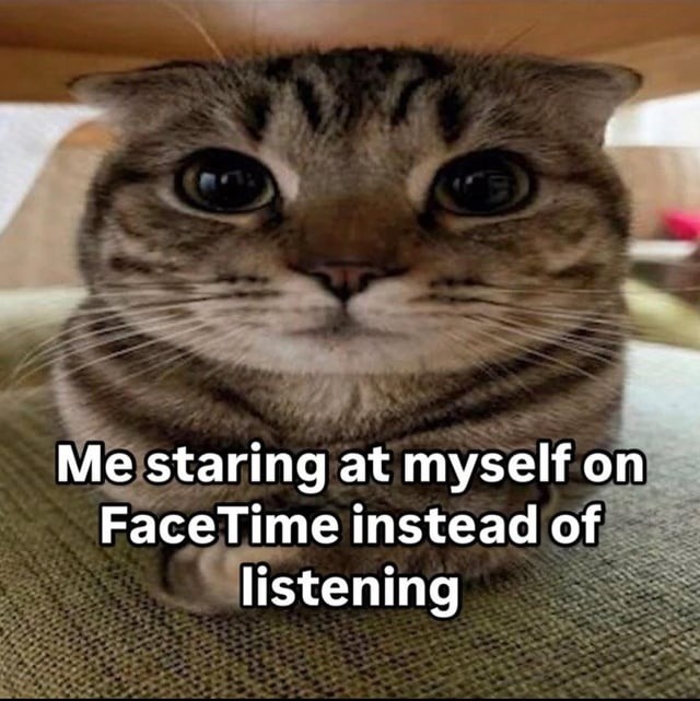 Me admiring myself on FaceTime while you trauma dump - meme