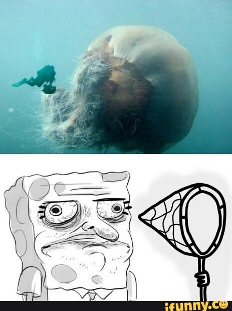 hey patrick wanna go jellyfishing - meme