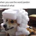 1000 pardons for the good boy