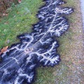 Burn pattern from downed power line