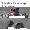 FISHY