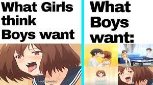 What girls think vr What boys want - meme