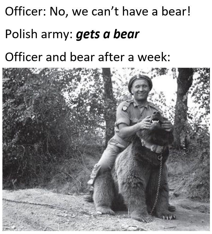 polish soldiers are, in the greatest way possible, completely insane - meme