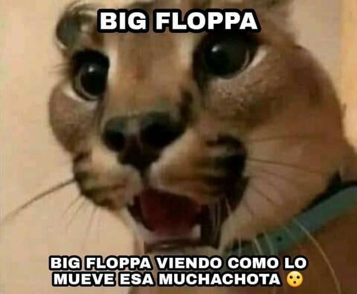 Top memes de Big Floppa en español :) Memedroid