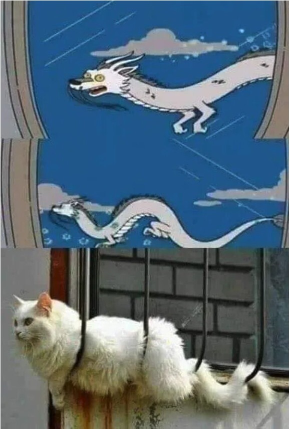 Gato dragón - meme