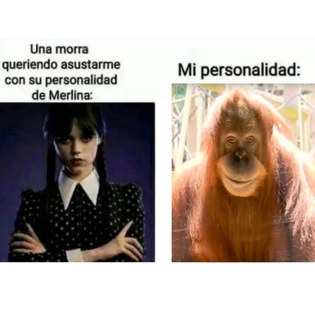 Mono vs Merlina - meme