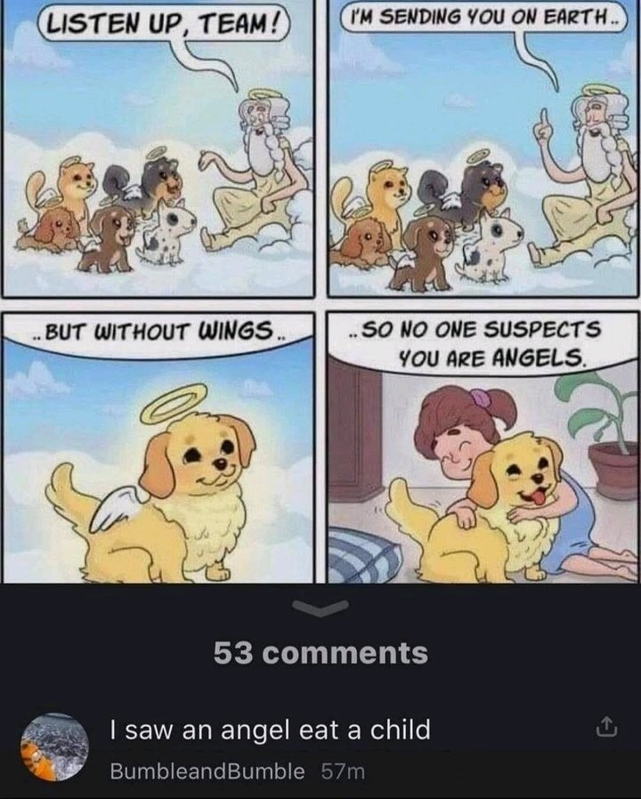Pups - meme