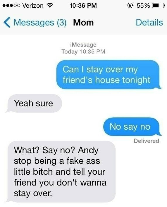 Little bitch andy - meme