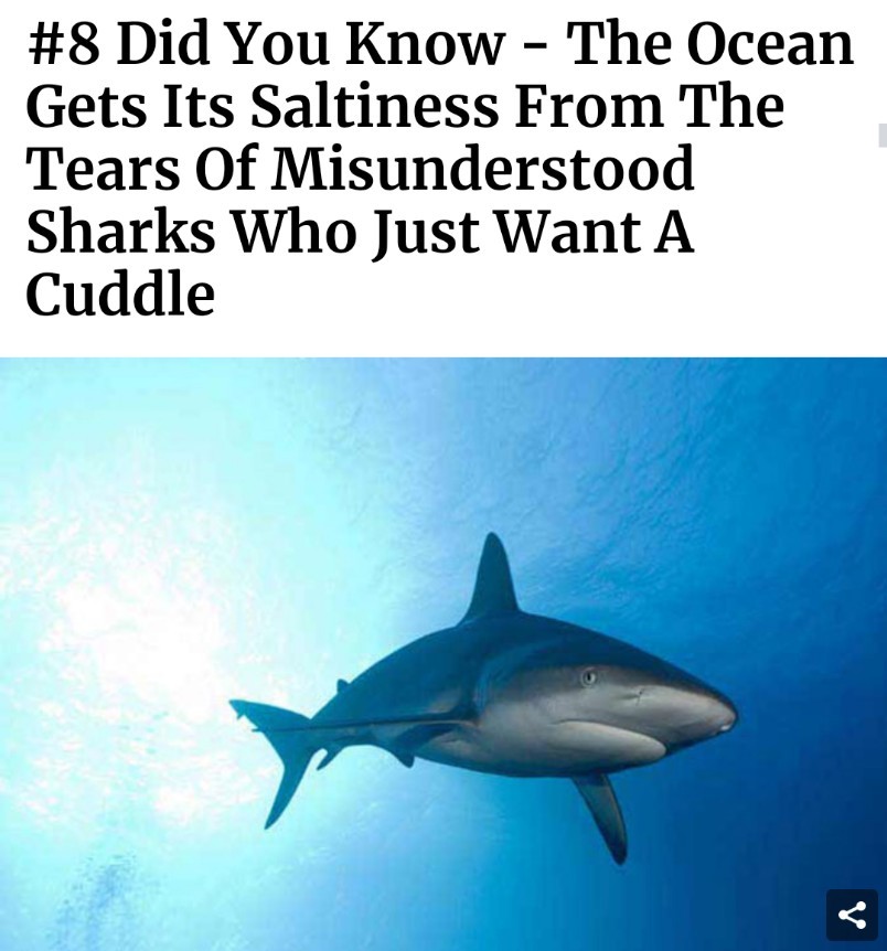 Poor shark - meme