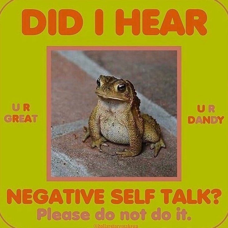 Frog - meme