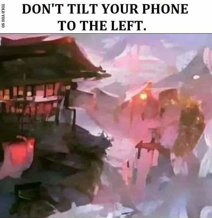 Don't tilt your phone to the left - meme