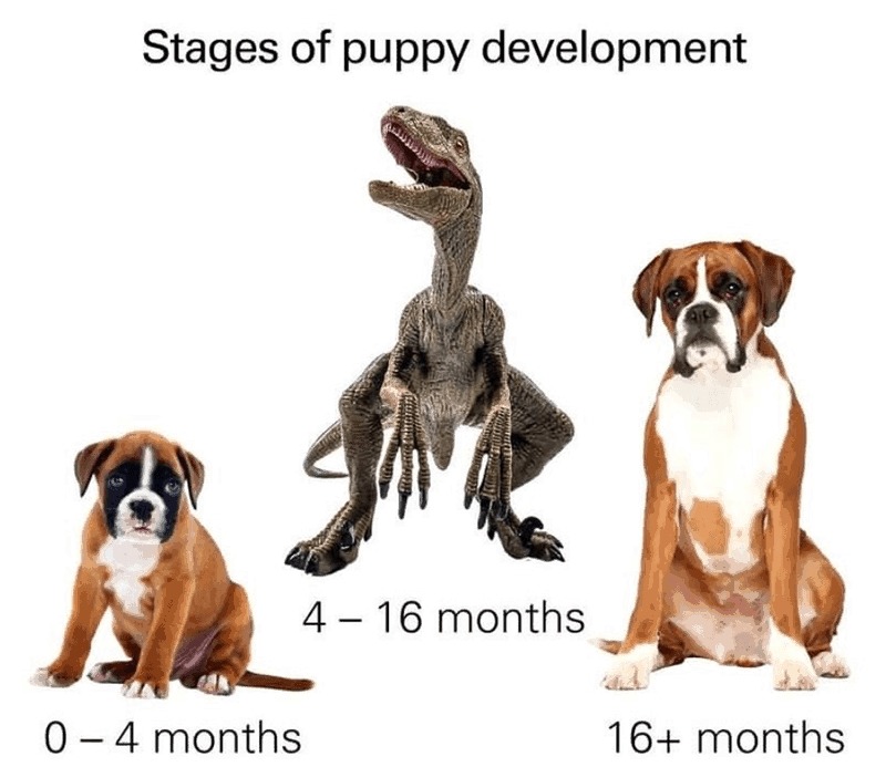 Yeah when they become dinosaurs is pretty ruff - meme